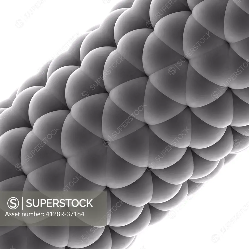 Buckytube. Molecular model of part of the cage structure of a bucky- or nanotube. The spheres represent carbon atoms. In this structure hundreds of at...