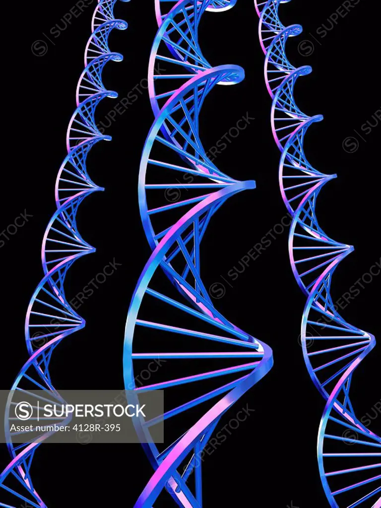 DNA molecules, computer artwork