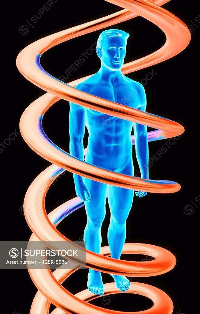DNA and human