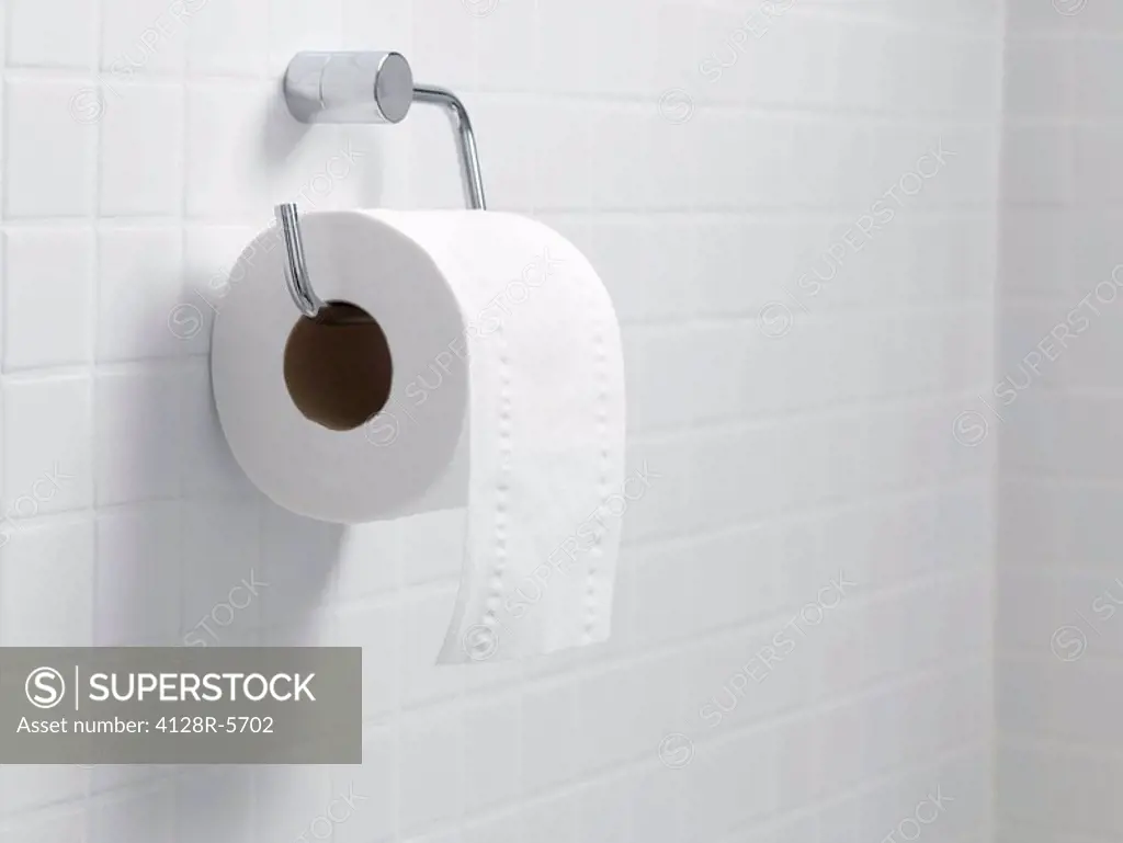 Toilet paper holder and roll