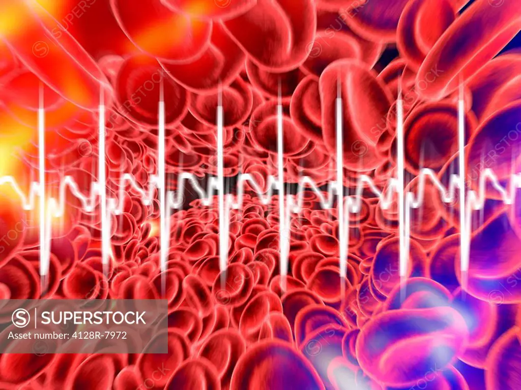 Red blood cells and ECG, artwork