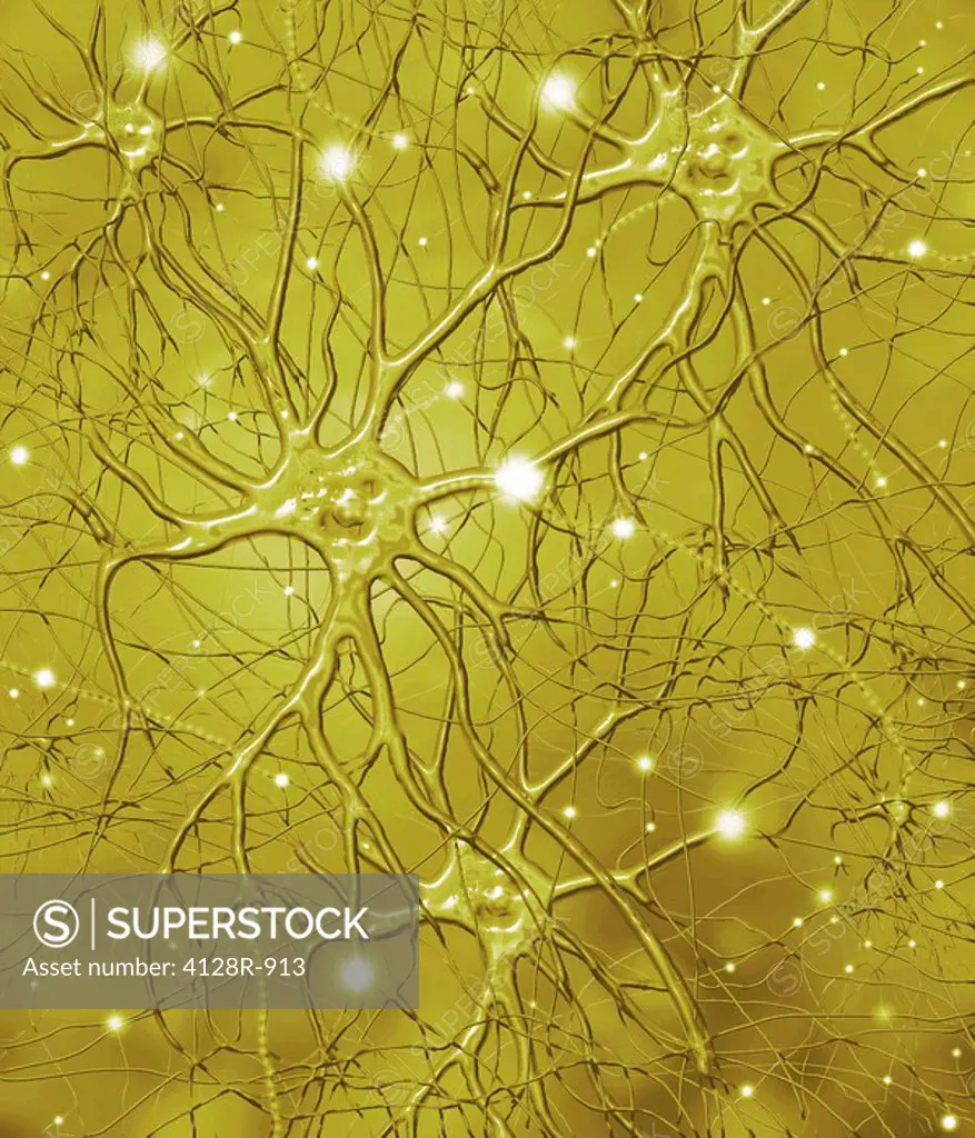 Nerve cells, artwork