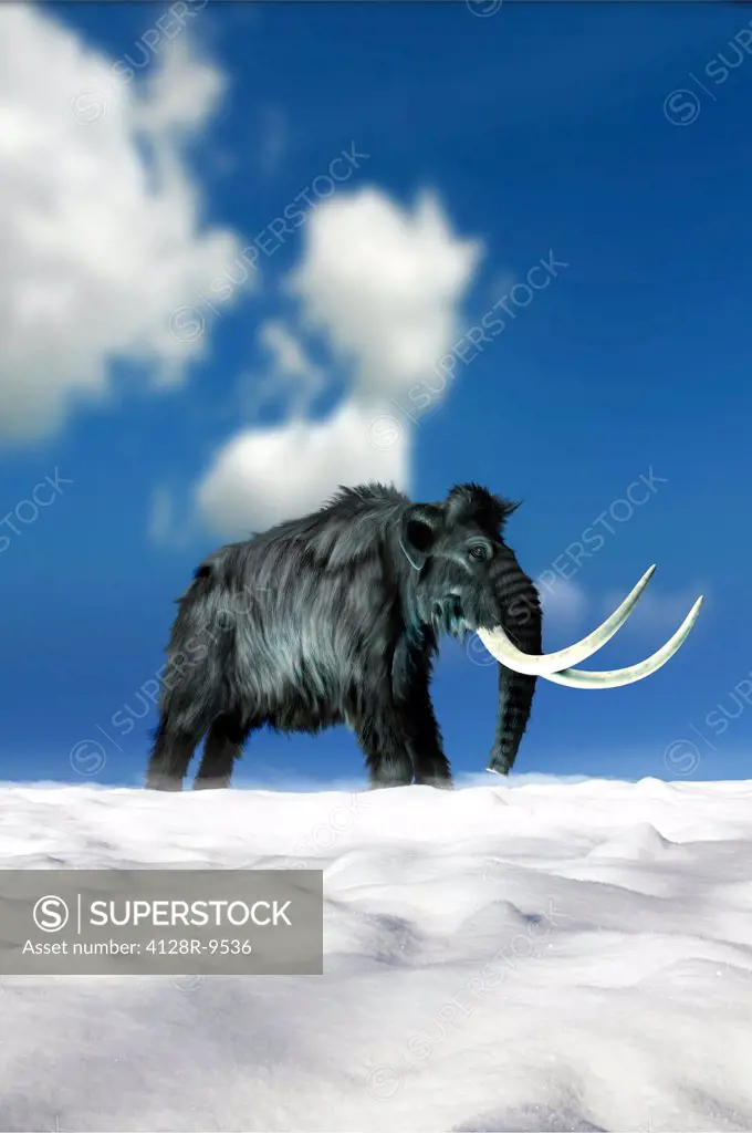 Woolly mammoth, artwork