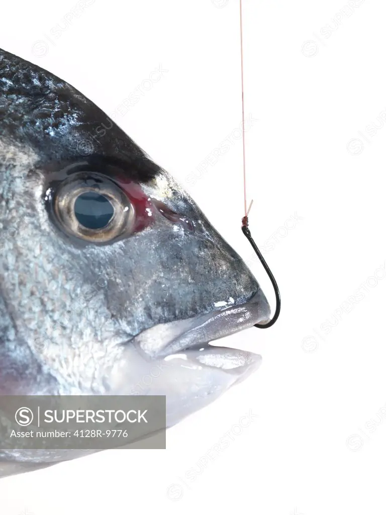 Hooked fish
