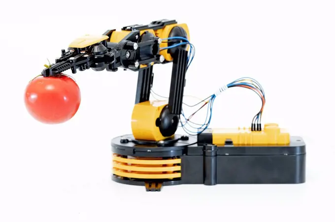 Robot arm holding tomato.