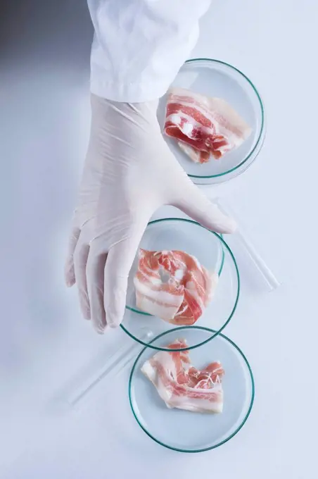 Conceptual image of cultured meat grown in the laboratory.