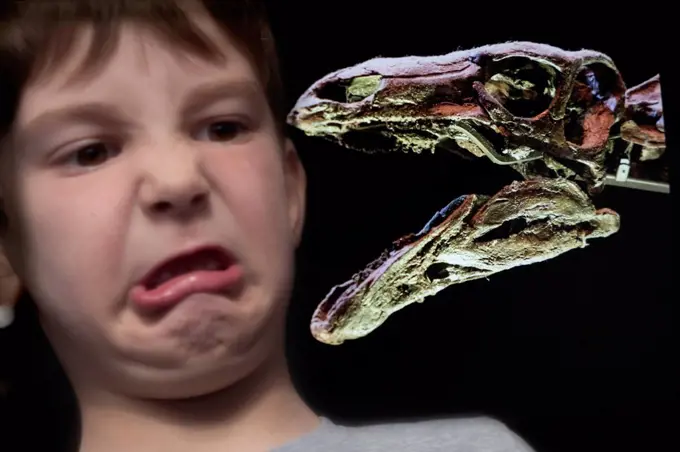 Boy looking at dinosaur