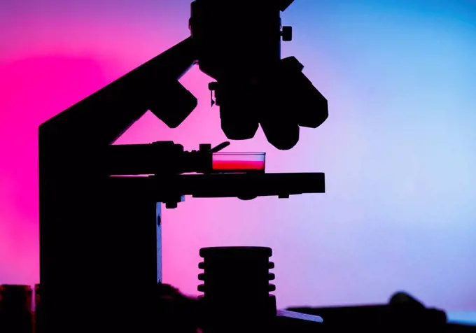 Silhouette of a microscope.