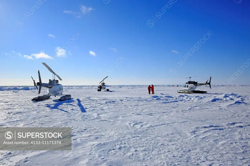 Trip to Harp Seals, Magdalen Islands, Gulf of St. Lawrence, Quebec, Canada, North America, helicopter prepars for flight to Harp Seals on pack ice