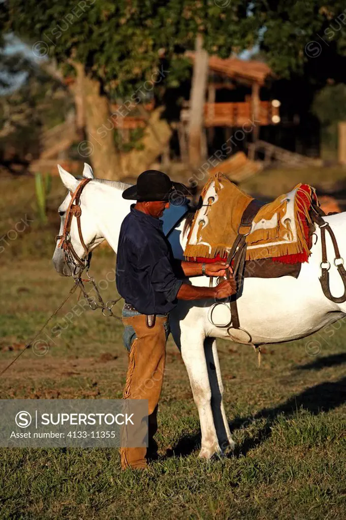 Pantanal Cowboy,Pantaneiro,Horse,Pantaneiro Horse,Pantanal,Brazil,saddle his Horse