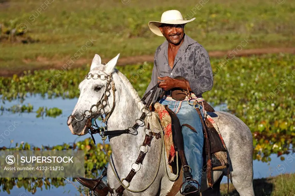 Pantanal Cowboy,Pantaneiro,Horse,Pantaneiro Horse,Pantanal,Brazil,Portrait