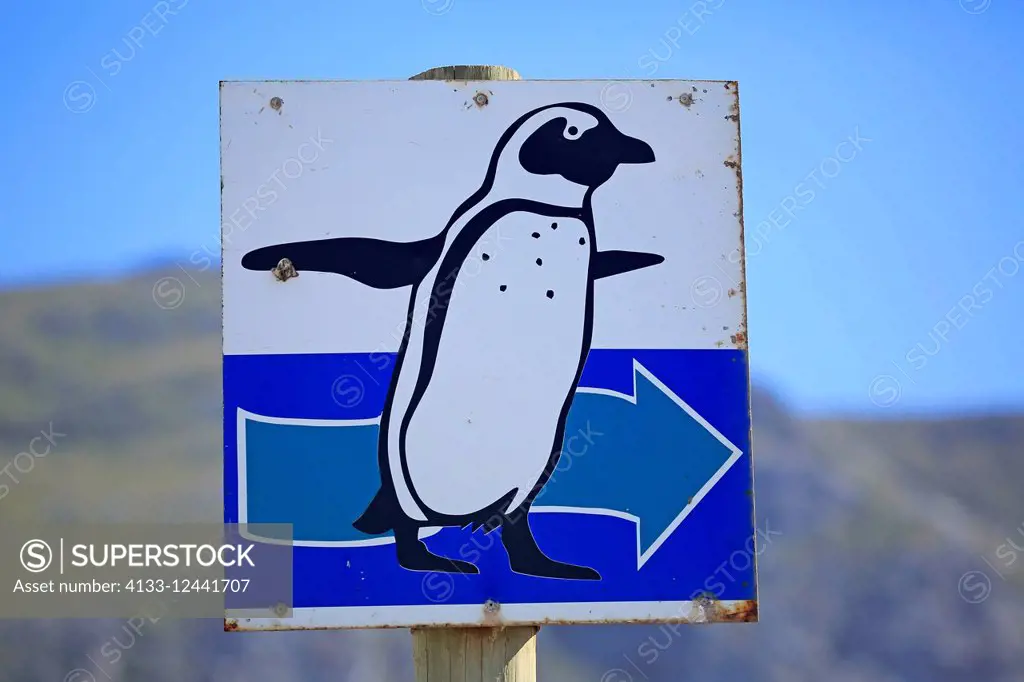 Signpost to penguins, roadsign, direction to penguins, Betty's Bay, Western Cape, South Africa, Africa