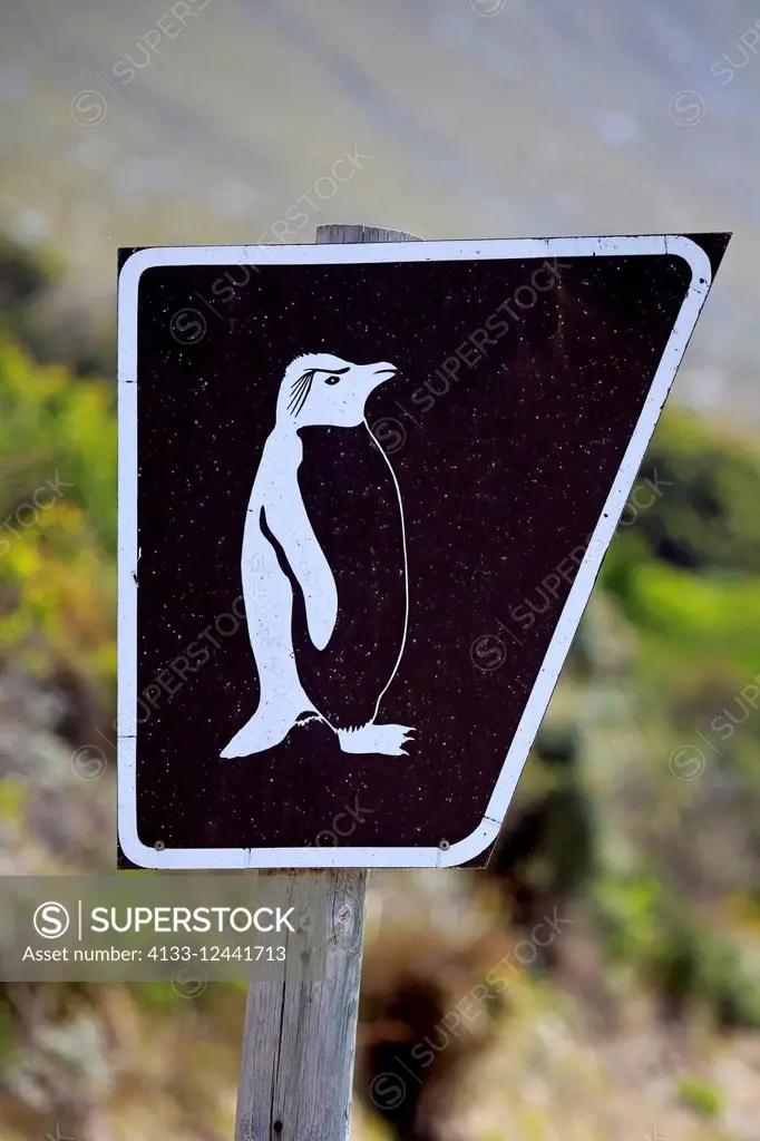 Signpost to penguins, roadsign, direction to penguins, Betty's Bay, Western Cape, South Africa, Africa