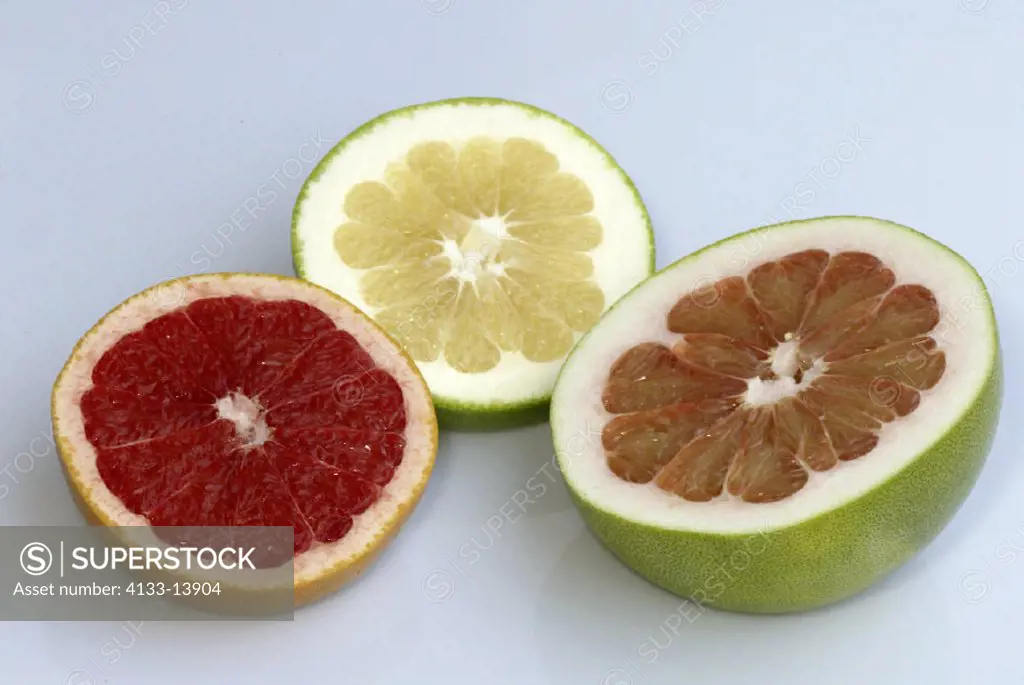 Pummelo, shaddock pummelo and grapefruit Citrus maxima Citrus x paradisi Germany