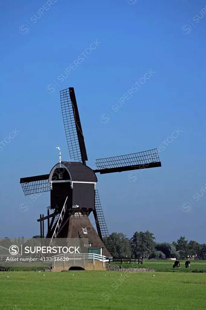 Windmill,Netherlands,with blue sky