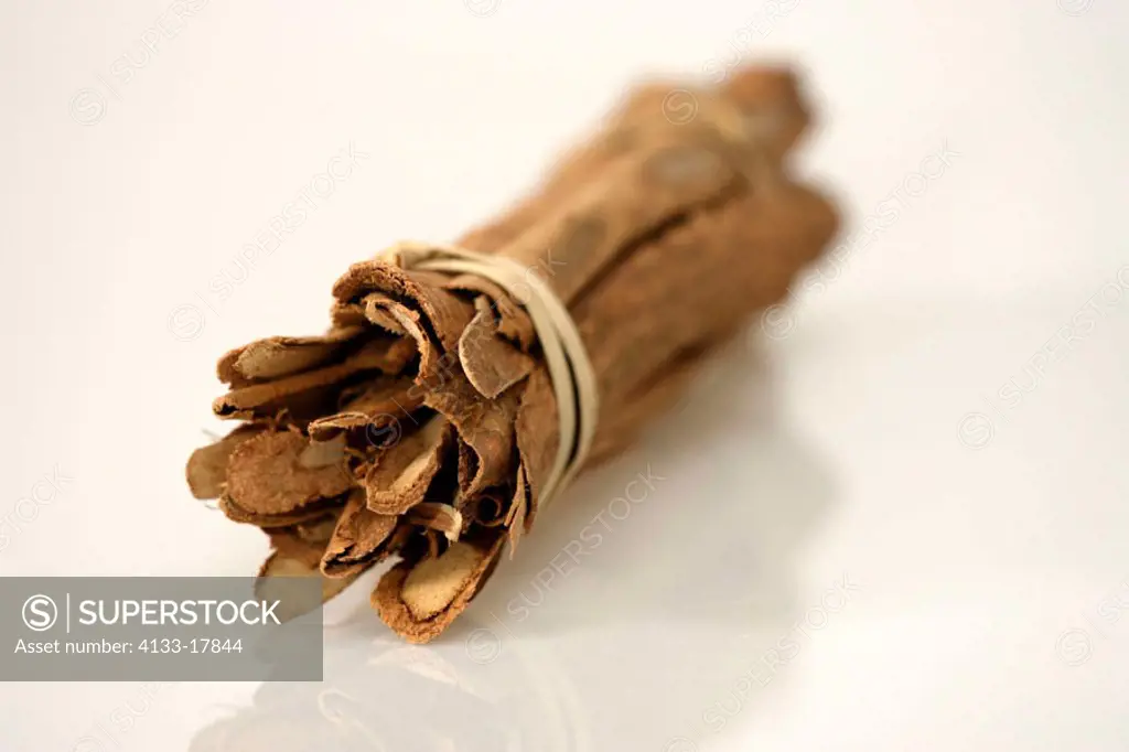 Cinnamon, Cinnamomum verum, Nosy Be, Madagascar, bark