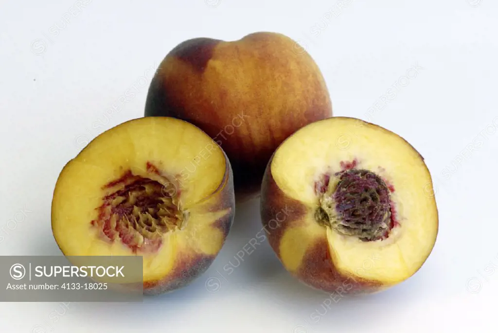 Peach, Prunus persica, Germany, fruit