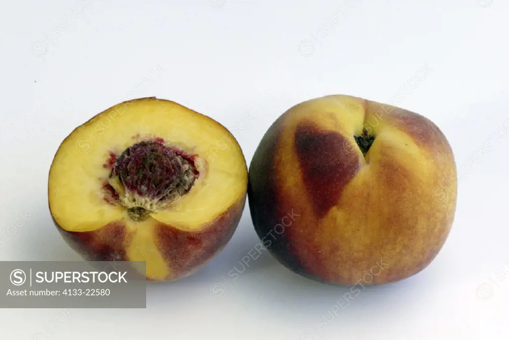 Peach, Prunus persica, Germany, fruit