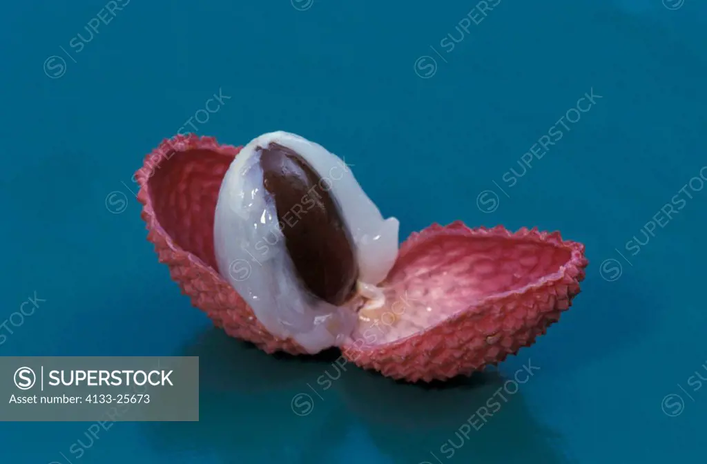 Lychee, Litchi chinensis, Germany, fruit