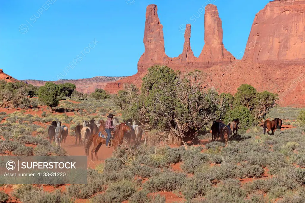 Navajo Cowboy, Mustang, Equus caballus, Monument Valley, Three Sisters, Utah, USA, Northamerica, Cowboy and Mustang