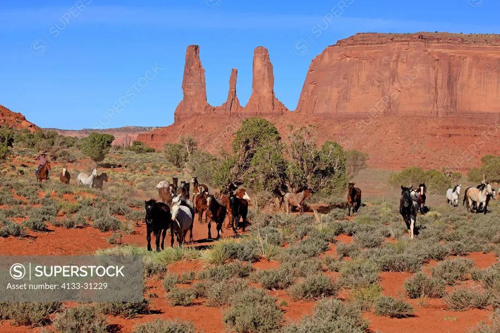 Navajo Cowboy, Mustang, Equus caballus, Monument Valley, Three Sisters, Utah, USA, Northamerica, Cowboy and Mustang