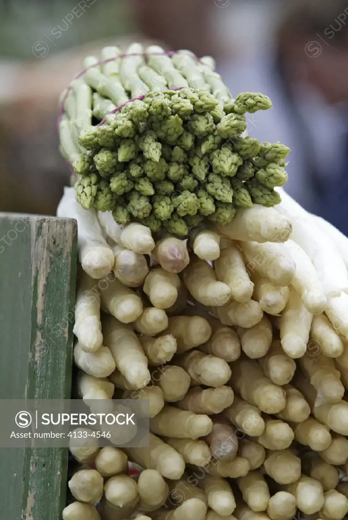 Asparagus , Asparagus officinalis , Germany , Europe , root , food , fruit , vegetable