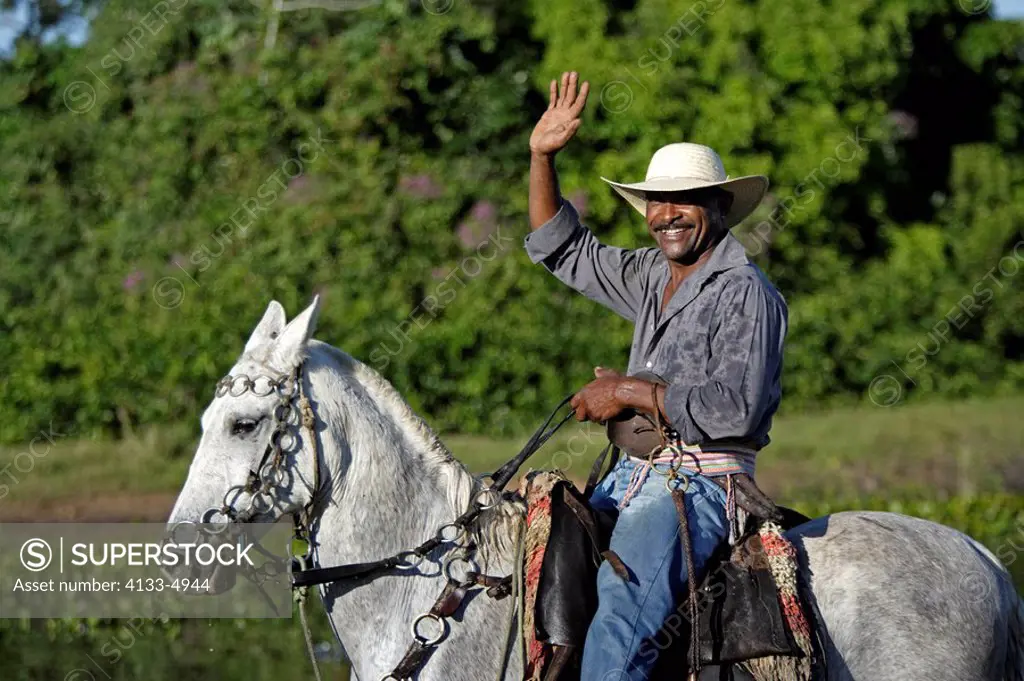 Pantanal Cowboy,Pantaneiro,Horse,Pantaneiro Horse,Pantanal,Brazil,Portrait