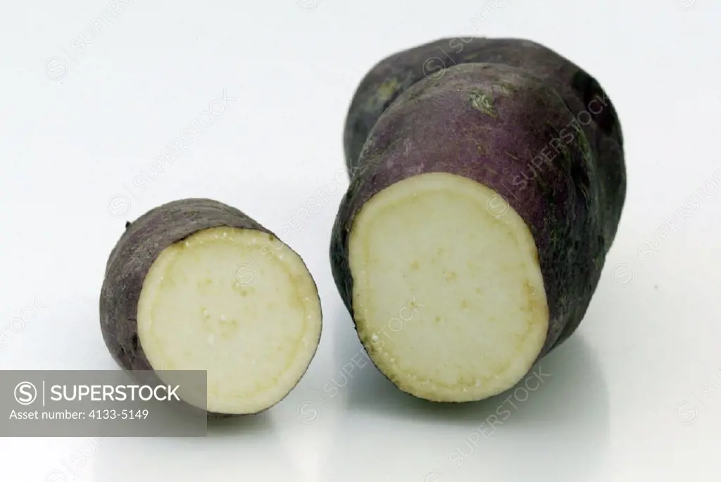 Sweetpotato, Ipomeoe batatas, Germany, fruit root