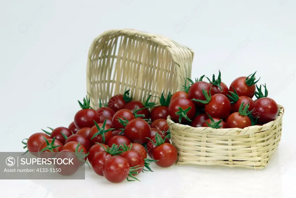 Cherry Tomato Lycopersicon esculentum var. CerasiformeGermany Europe