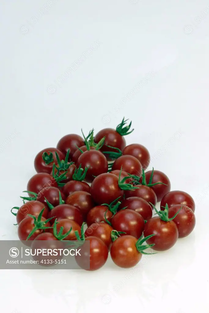Cherry Tomato Lycopersicon esculentum var. CerasiformeGermany Europe