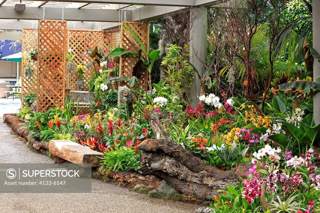 Garden,San Diego,California,USA,exotic garden landscape