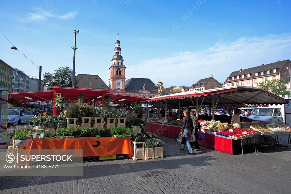 Mannheim,Germany,Europe,market