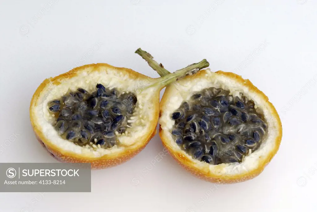 Sweet granadilla, Passiflora ligularis, Germany, fruit