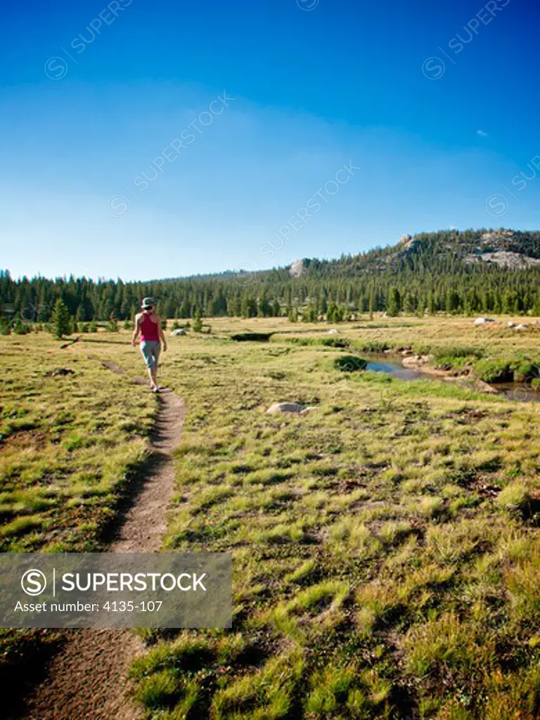 Woman walking on a trail, Tuolumne River Valley, Yosemite National Park, California, USA