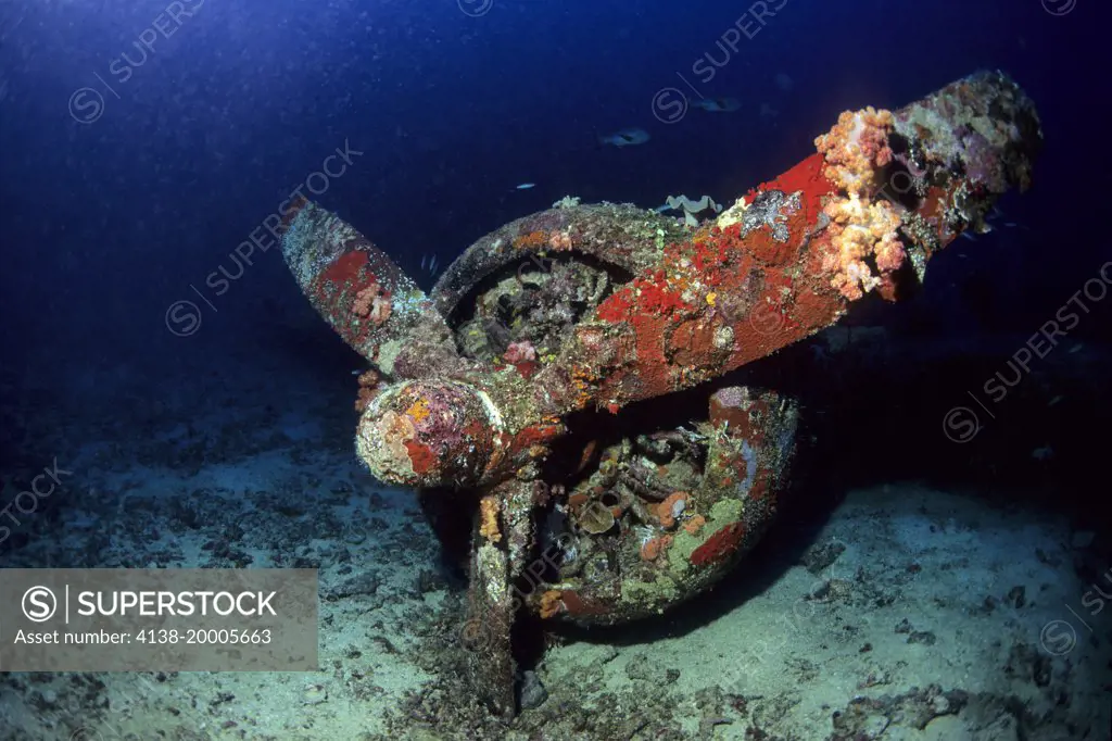B-17F (called Black Jack) Flying Fortress, American four-engine heavy bomber aircraft, the wreck lies on a seabed at a depth of 45 metres in front of the village of Boga Boga, Milne bay, Papua New Guinea, Pacific Ocean