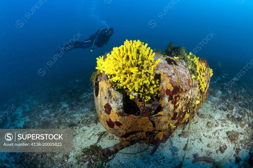 Wreck of airplane B24, Vis Island, Croatia, Adriatic Sea, Mediterranean