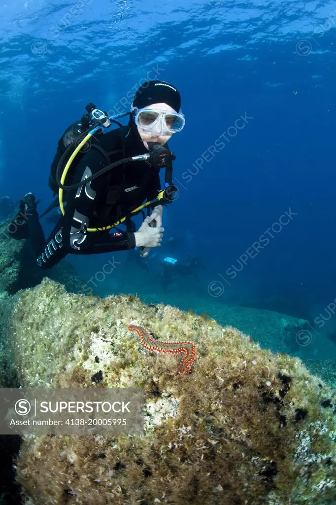 Scuba diver Tim Neville on Teti wreck dive site, Vis Island, Croatia, Adriatic Sea, Mediterranean
