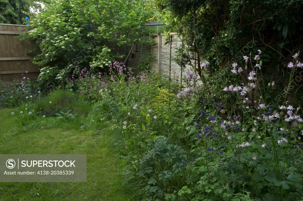 Wildlife-friendly garden, with flowery border and small pond, in Wimborne, Dorset