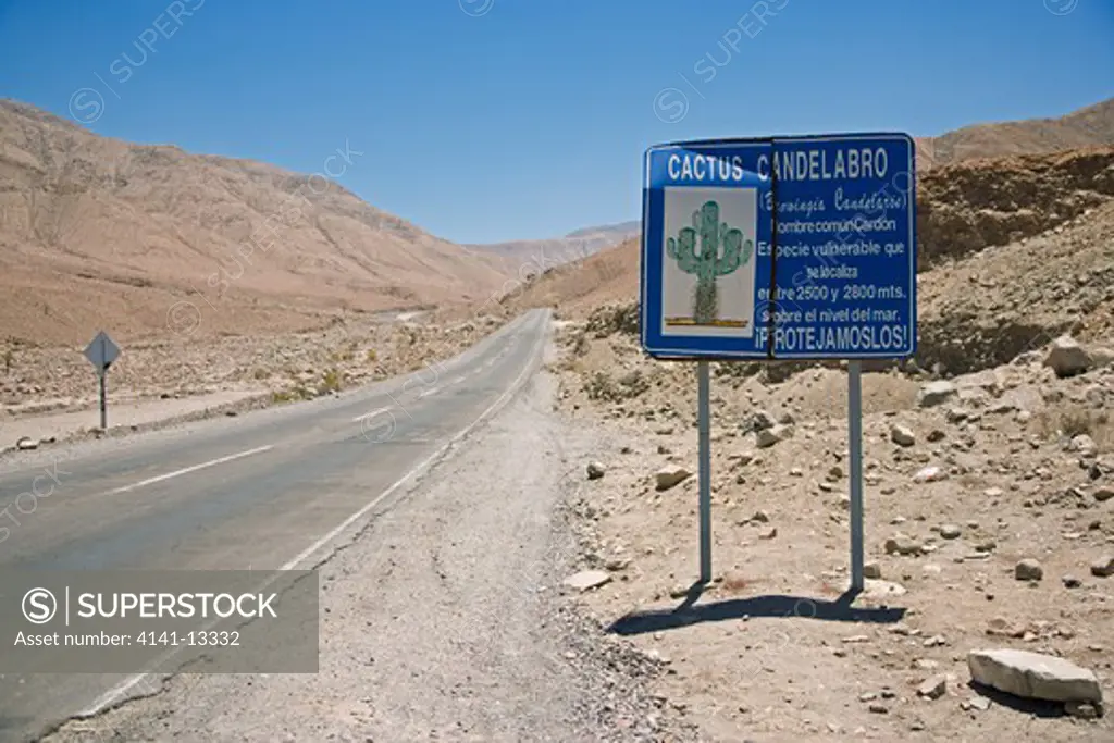 cactus protection sign on highway 11 passing through the atacama desert between arica and bolivia
