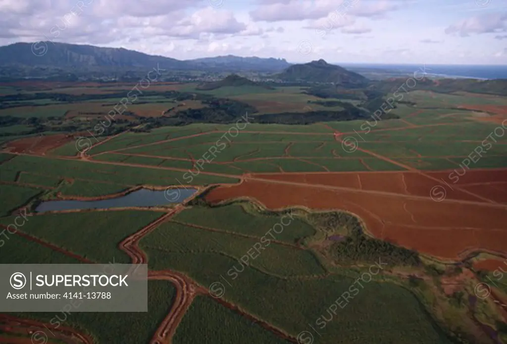 sugar cane crop aerial view of fields kauai, hawaii, usa 
