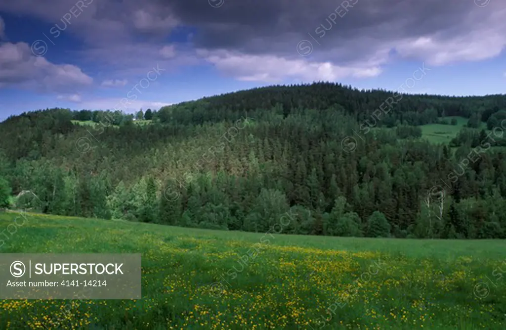 sumava national park (meadow and forest) bohemia, czech republic 