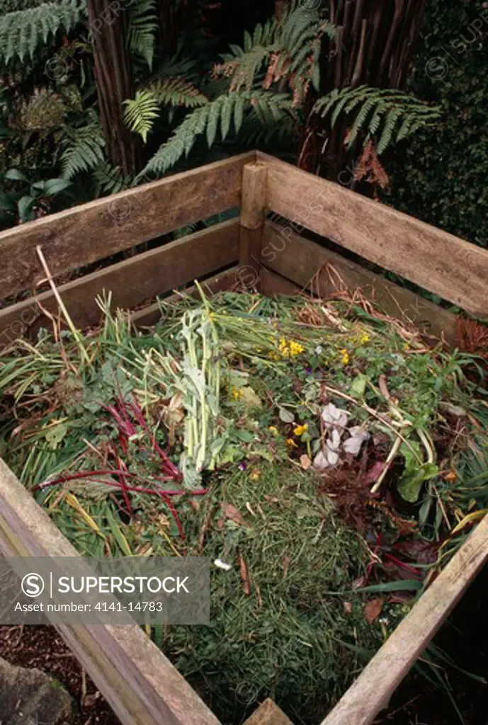 compost bin in permaculture vegetable garden. hamilton, waikato, north island, new zealand. 
