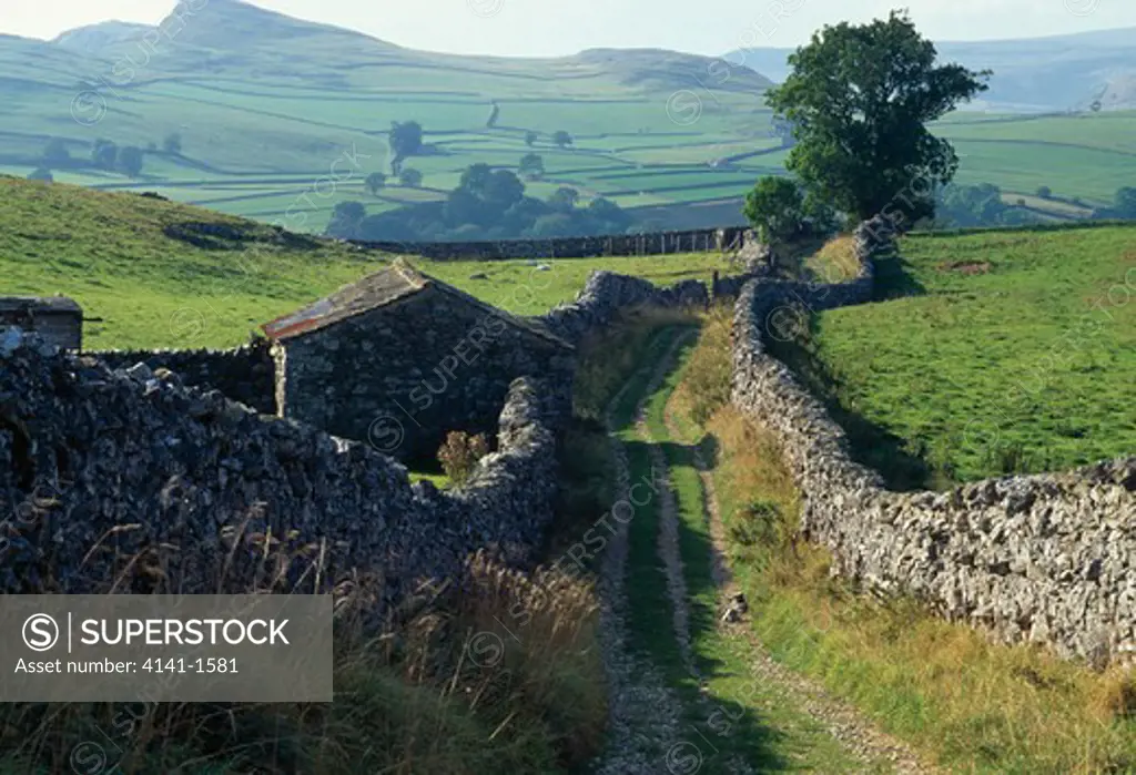 lane with drystone walls stainforth,yorkshire dales national park yorkshire, uk
