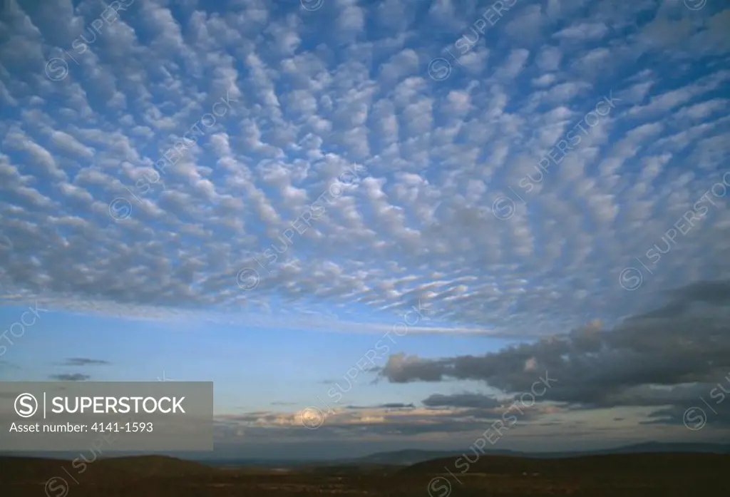 altocumulus clouds at dusk shropshire, england 