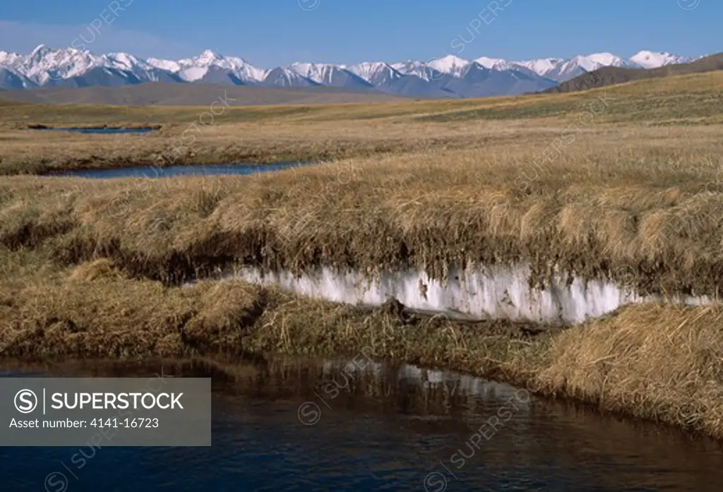 perma-frost on kara-say plateau, altitude 3580m (borkolday range, 4500m, in background) inner tien-shan mountain range, kyrgyzstan, asia june