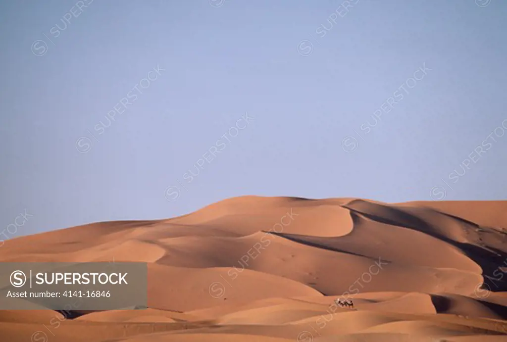 sand dunes erg chebbi, risani, morocco