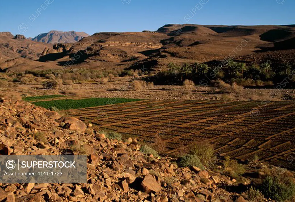 cultivated ground next to a wadi, jebel sahro, morocco. 