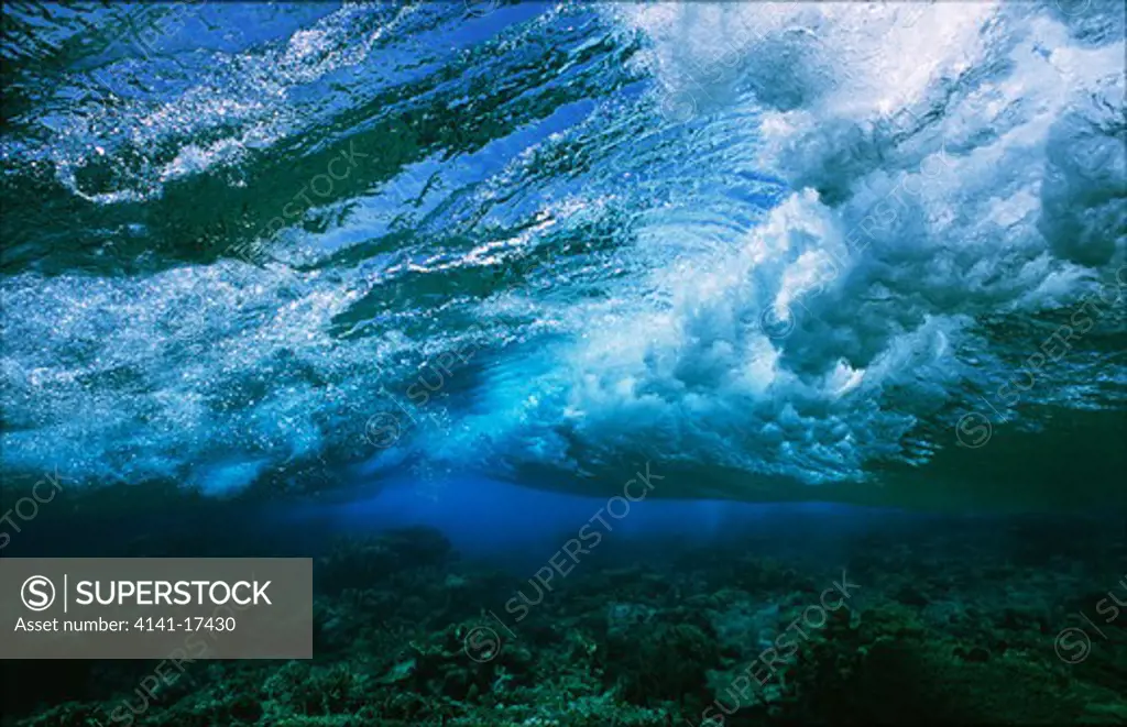 wave breaking on coral reef top underwater view gulf of suez, egypt, red sea