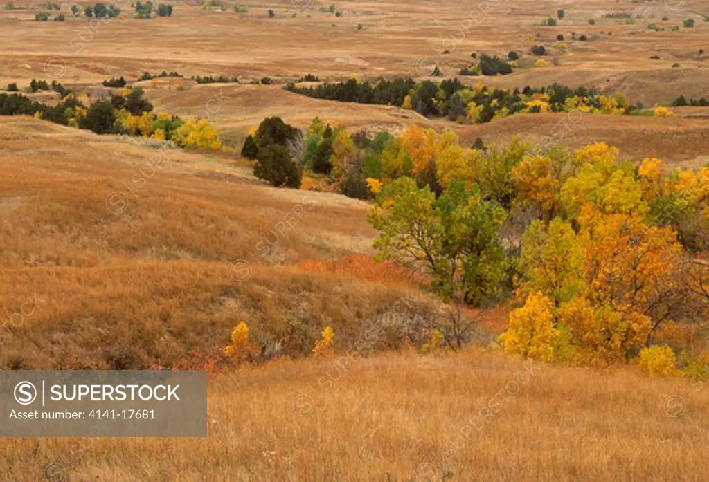 prairie with autumn colours badlands national park, south dakota, northern usa 