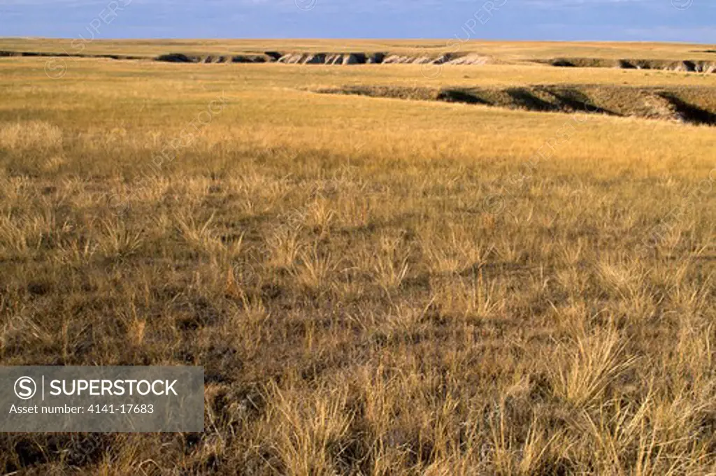 prairie butte grassland badlands national park, south dakota, usa 
